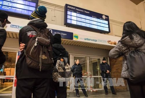German police arrest a suspected terrorist - ảnh 1